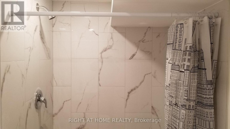 47 ROYWOOD DRIVE, Toronto (Parkwoods-Donalda), Ontario, M3A2C8