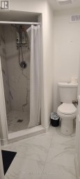 47 ROYWOOD DRIVE Toronto (Parkwoods-Donalda) Ontario photo 35