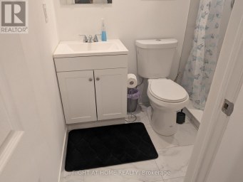 47 ROYWOOD DRIVE Toronto (Parkwoods-Donalda) Ontario photo 36
