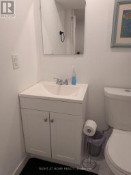 47 ROYWOOD DRIVE Toronto (Parkwoods-Donalda) Ontario photo 38