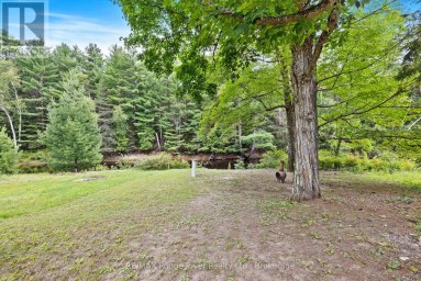 39 HOBO LANE Hastings Highlands (Herschel Ward) Ontario photo 20