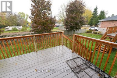 3 - 123 CHURCH STREET N Wellington North (Mount Forest) Ontario photo 46