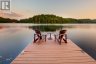 1600 MISTY KNOLL TRAIL, Dysart Et Al (guilford), Ontario, K0M1S0 (ID X13765488)