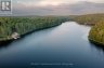 1600 MISTY KNOLL TRAIL, Dysart Et Al (guilford), Ontario, K0M1S0 (ID X13765488)