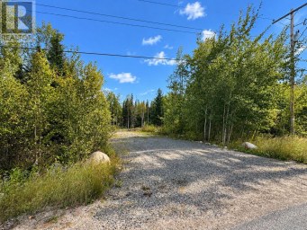 53 MCMANUS STREET Red Lake Ontario photo 4