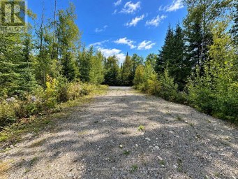 53 MCMANUS STREET Red Lake Ontario photo 7