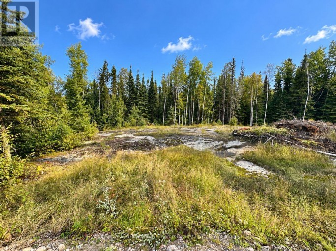 53 MCMANUS STREET, Red Lake, Ontario, P0V1C0