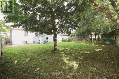 127 WHITNEY AVENUE Hamilton (Ainslie Wood) Ontario photo 25