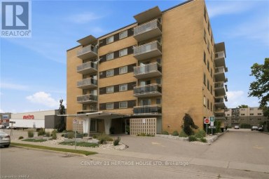 508 - 87 ST GEORGE STREET Brantford Ontario photo 2