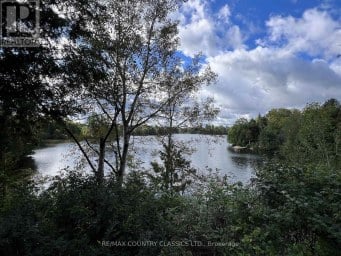 29 BROWN LANE Bancroft (Dungannon Ward) Ontario photo 16