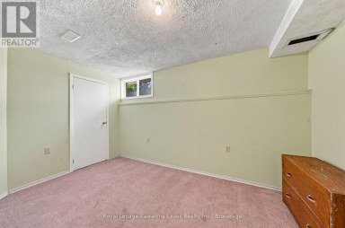 9 RICHMOND STREET W Kawartha Lakes (Carden) Ontario photo 20