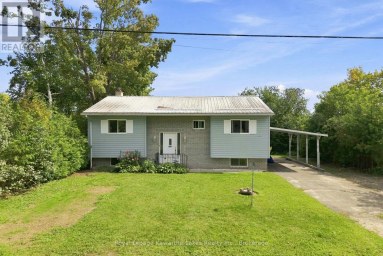 9 RICHMOND STREET W Kawartha Lakes (Carden) Ontario photo 31