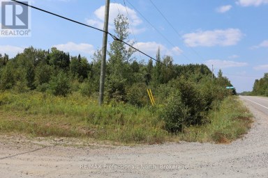 1010 PIPER GLEN ROAD Minden Hills (Minden) Ontario photo 3