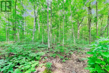 1655 GEORGIAN HEIGHTS BOULEVARD Severn (Fesserton) Ontario photo 49