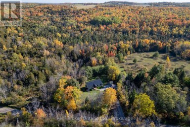 250 SILVER HEIGHTS DRIVE Trent Hills Ontario photo 2