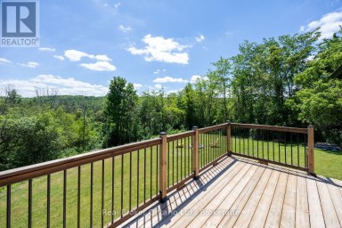 250 SILVER HEIGHTS DRIVE Trent Hills Ontario photo 28