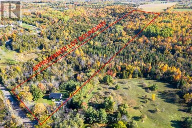 250 SILVER HEIGHTS DRIVE Trent Hills Ontario photo 39