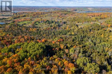 250 SILVER HEIGHTS DRIVE Trent Hills Ontario photo 40