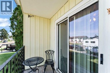 45 Clark Crescent SE Medicine Hat Alberta photo 45