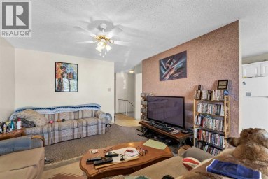 45 Clark Crescent SE Medicine Hat Alberta photo 9