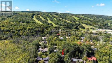 126 MARTIN GROVE N Blue Mountains Ontario photo 41