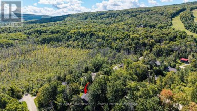 126 MARTIN GROVE N Blue Mountains Ontario photo 45