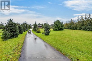 600 BASE LINE ROAD Kawartha Lakes (Somerville) Ontario photo 4