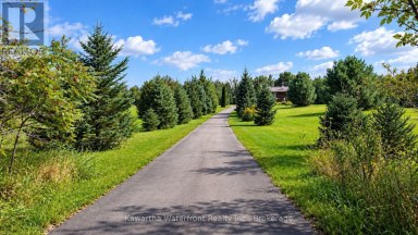 600 BASE LINE ROAD Kawartha Lakes (Somerville) Ontario photo 42