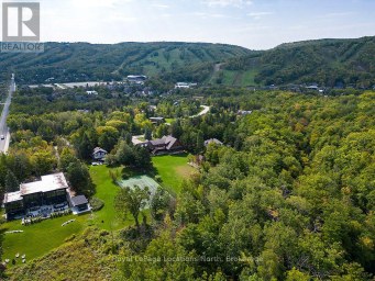 107 MARGARET DRIVE Blue Mountains Ontario photo 35