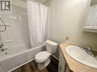 4603 47 Street Rycroft Alberta photo 22