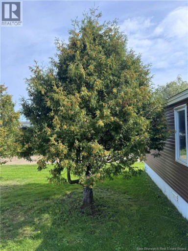 5293 Route 117, Baie-Sainte-Anne, New Brunswick, E9A1C8