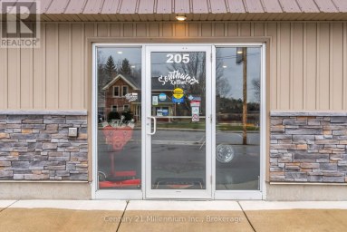 205 GARAFRAXA STREET Chatsworth Ontario photo 13