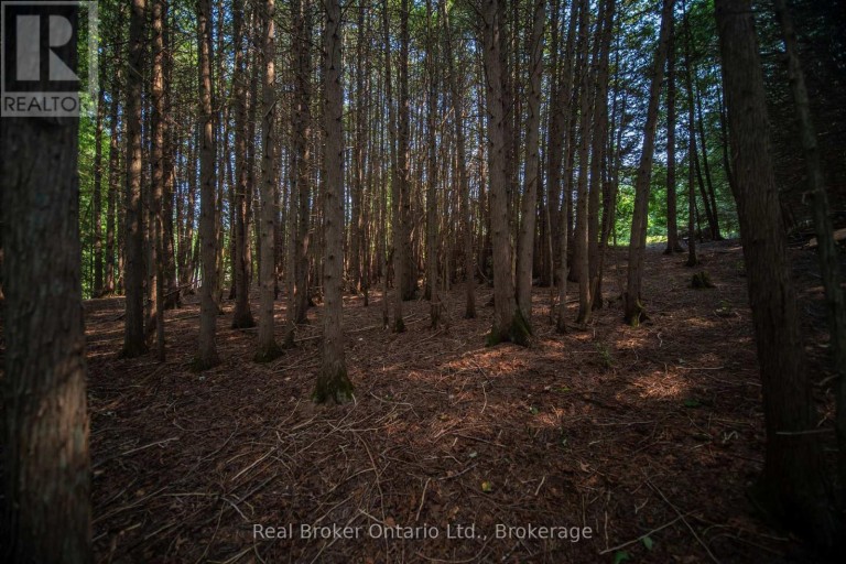 635064 EUPHRASIA HOLLAND TOWNLINE, Grey Highlands, Ontario, N0C1H0