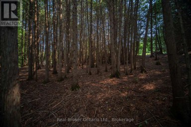 635064 EUPHRASIA HOLLAND TOWNLINE Grey Highlands Ontario photo 45
