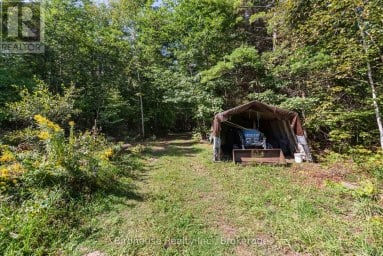 79 HONEYSUCKLE ROAD Kawartha Lakes (Laxton/Digby/Longford) Ontario photo 24