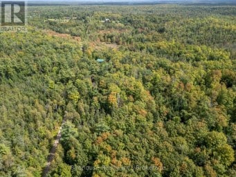 79 HONEYSUCKLE ROAD Kawartha Lakes (Laxton/Digby/Longford) Ontario photo 30