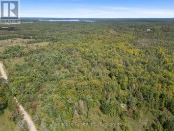 79 HONEYSUCKLE ROAD Kawartha Lakes (Laxton/Digby/Longford) Ontario photo 33