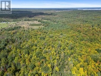 79 HONEYSUCKLE ROAD Kawartha Lakes (Laxton/Digby/Longford) Ontario photo 34