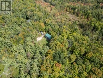 79 HONEYSUCKLE ROAD Kawartha Lakes (Laxton/Digby/Longford) Ontario photo 5