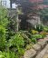 39 - 145 NORTH CENTRE ROAD, London North (north B), Ontario, N5X4C7 (ID X13771316)