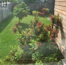 377 MARY STREET Orillia Ontario photo 38