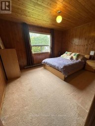 20 SNAKE ISLAND E Georgina Islands (Snake Island) Ontario photo 25