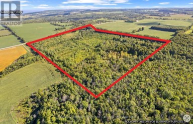 628482 119 GREY ROAD Blue Mountains Ontario photo 24