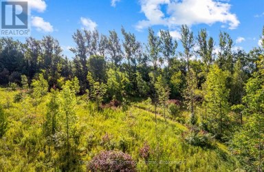 628482 119 GREY ROAD Blue Mountains Ontario photo 25