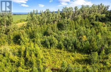 628482 119 GREY ROAD Blue Mountains Ontario photo 26