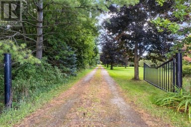 628482 119 GREY ROAD Blue Mountains Ontario photo 3