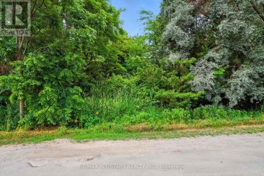 LOT 61 SUMMER DRIVE Kawartha Lakes (Mariposa) Ontario photo 3