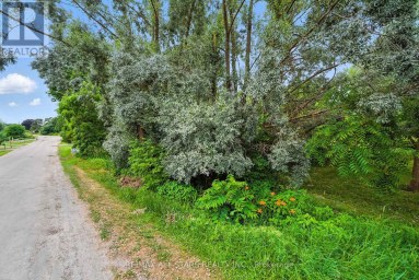 LOT 61 SUMMER DRIVE Kawartha Lakes (Mariposa) Ontario photo 5