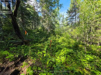 LOT 18 REGINA HEIGHTS BOULEVARD Sioux Narrows-Nestor Falls Ontario photo 10