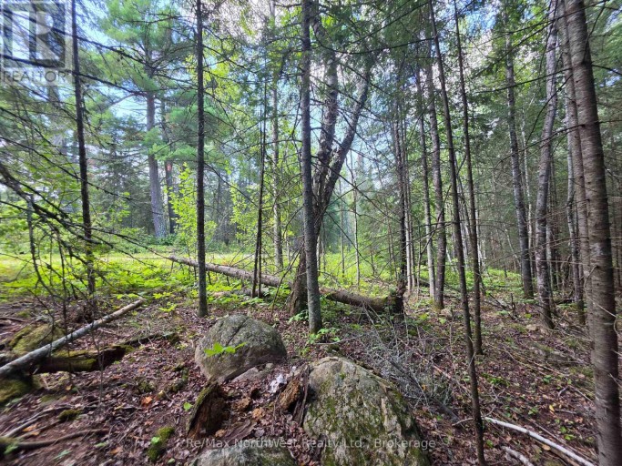LOT 18 REGINA HEIGHTS BOULEVARD, Sioux Narrows-Nestor Falls, Ontario, P0X1N0